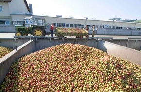 VdF Verband der deutschen Fruchtsaft-Industrie: Historische Höchstpreise für Mostäpfel