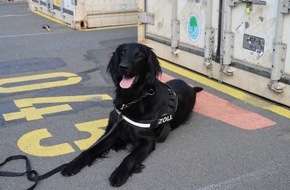 Zollfahndungsamt Hannover: ZOLL-H: - Illegale Einfuhr von 408 kg Cannabis aus Thailand verhindert - Zollhund Emma spürte das Marihuana zwischen einer Ladung Kokosnussschalen auf - Cannabis von mind. 1,2 Millionen Euro Schwarzmarktwert
