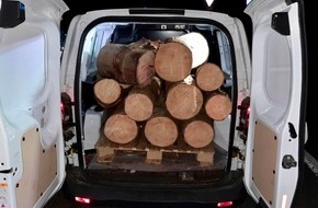 Bundespolizeidirektion Sankt Augustin: BPOL NRW: Nachts im Wald mit Kettensäge - kein neuer Eifel Krimi - Bundespolizisten treffen Holz Dieb auf frischer Tat