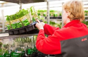toom Baumarkt GmbH: Plastikmüll reduzieren: Neues Mehrwegsystem für Pflanzentransport / toom erster Partner aus dem Handel