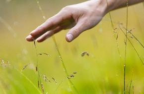 Genießer- & Wanderhotel Jägerhof: WYDA Â Das Yoga der Druiden kommt nach Südtirol! - BILD