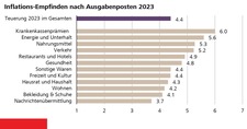 Grafik1_Umfrage-Inflation.jpg