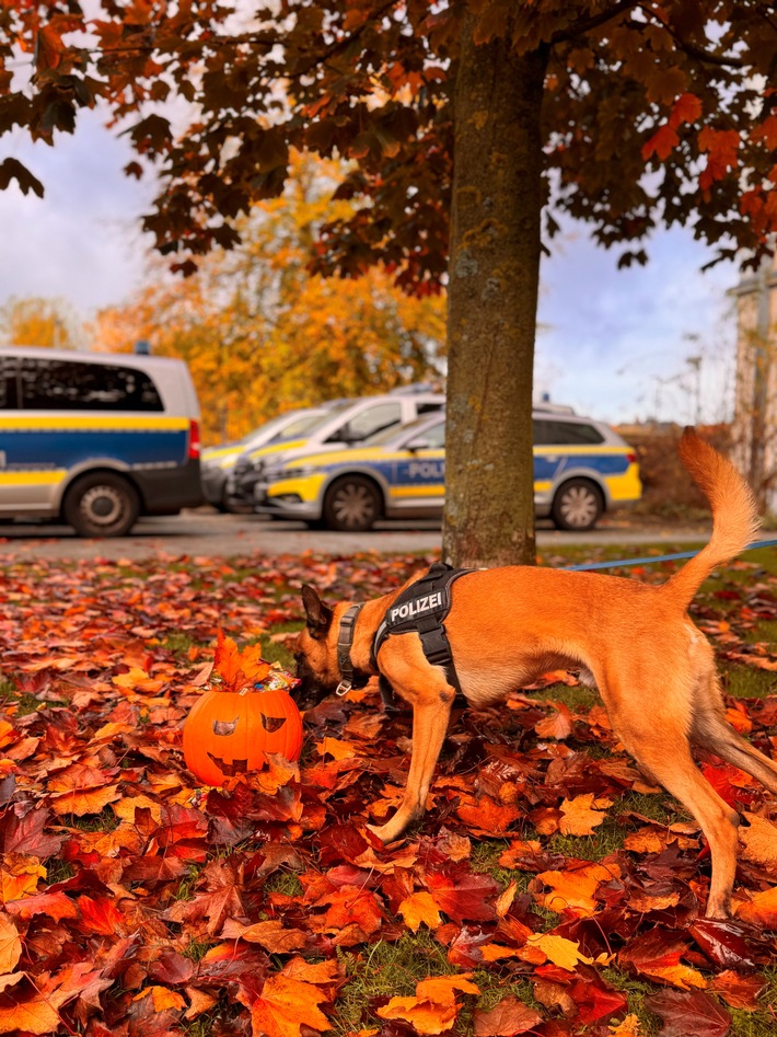 POL-KI: 251024.1 Kiel / Kreis Plön: Die Halloween-Zeit beginnt - sichere und gruselige Tipps
