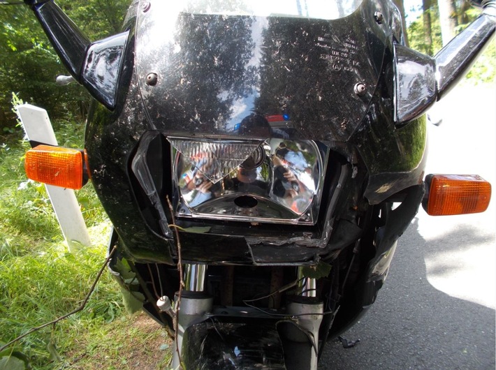 POL-SI: Baum fällt (auf) Motorradfahrer