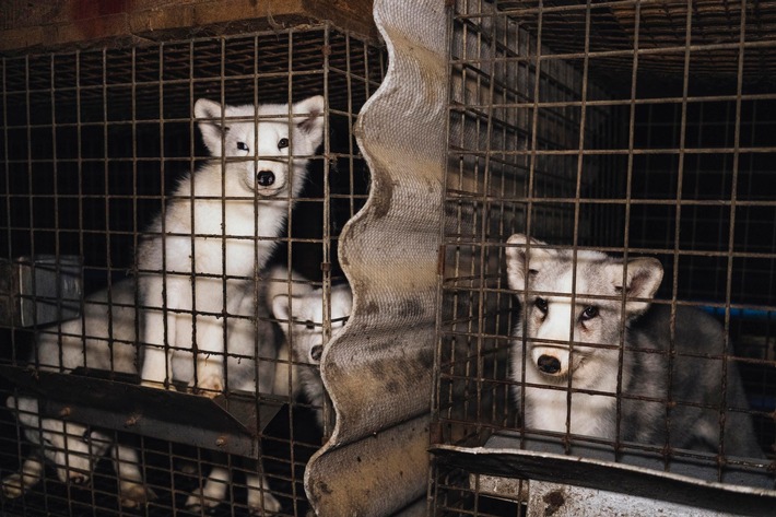 Une chance historique pour l’UE d