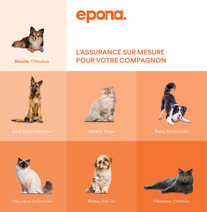 Cet été, le leader suisse de l&#039;assurance animalière, Epona, innove !