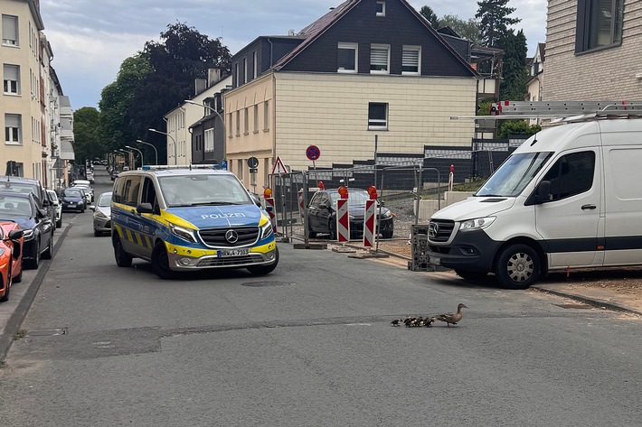 POL-HA: Ungewöhnlicher Einsatz: Polizei rettet Entenfamilie
