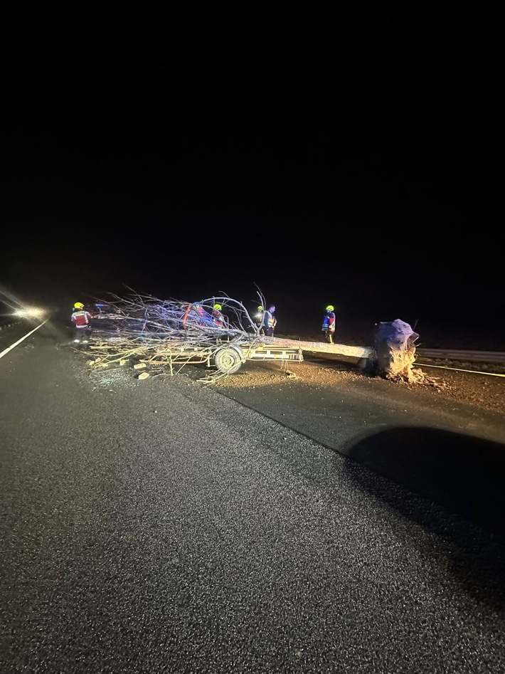 POL-PDNW: Autobahnpolizei Ruchheim - Bei Unfall verlorener Baum blockiert Autobahn