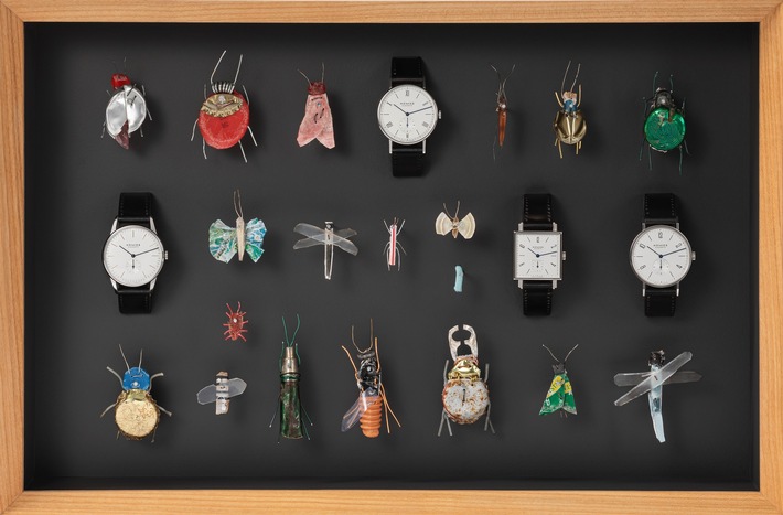Bild des Monats: Libellen, Schmetterlinge, Uhren