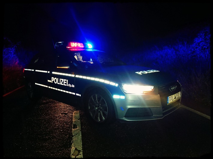 POL-PDNW: Grünstadt-Asselheim - Verkehrsunfall auf der Eistalstraße - Verursacher flüchtig