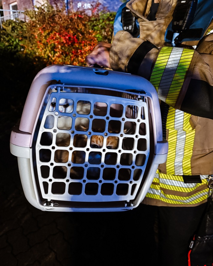 FW-DT: Zimmerbrand - 18 Personen rettungsdienstlich betreut