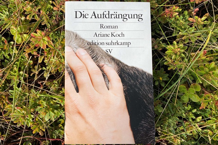 "aspekte"-Literaturpreis 2021 des ZDF geht an Ariane Koch für "Die Aufdrängung"