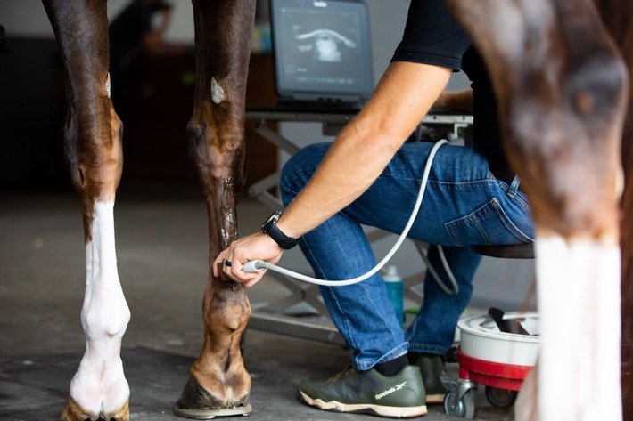 Boehringer Ingelheim bringt RenuTend(TM) auf den Markt: Eine neue Stammzelltherapie zur Verbesserung der Heilung von Sehnen- und Fesselträgerverletzungen bei Pferden