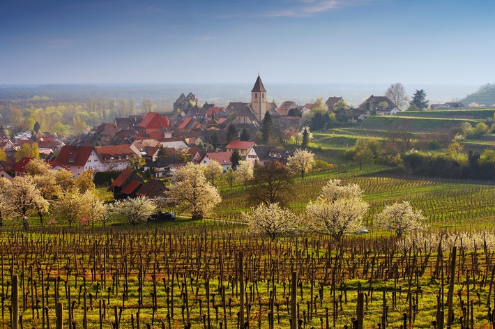 Ein Dorf wird zum Hotel: Schwarzwald setzt auf neues Tourismuskonzept