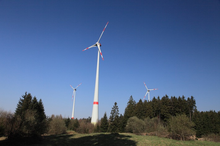 "Windkraft im Visier" - Deutscher Naturschutzring hält Bau von Windenergieanlagen in intensiv genutzten Wirtschaftswäldern für möglich (mit Bild)