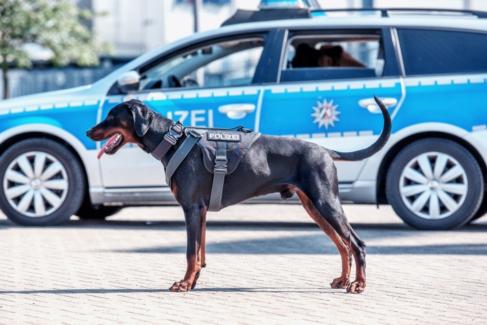 POL-MG: Polizei schützt Obdachlosen - zwei Männer mit Hilfe von &quot;Hawk&quot; in Gewahrsam genommen