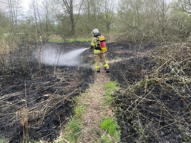 FW Bremerhaven: Feuerwehr Bremerhaven löscht Vegetationsbrand im Forst Reinkenheide