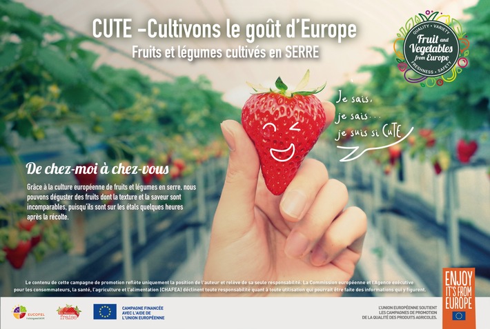 AOPn Fraises de France, moteur d&#039;innovation