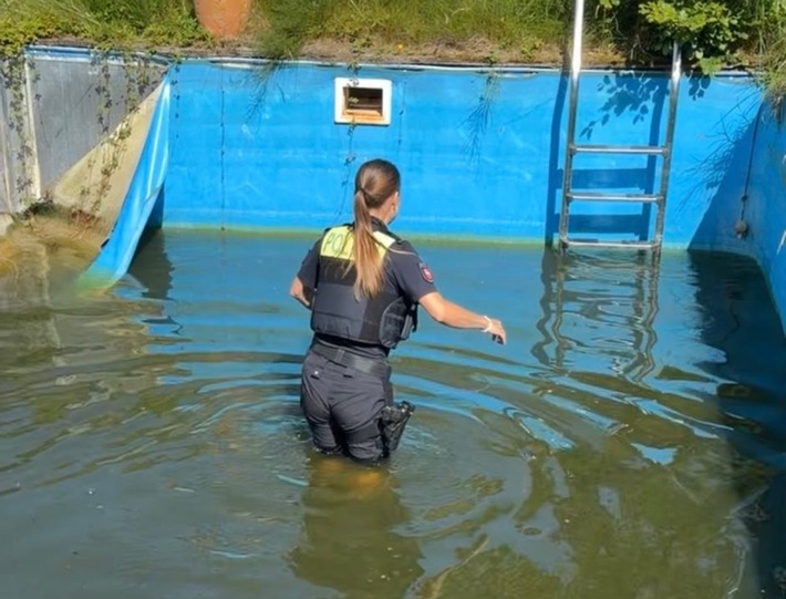 POL-DH: Stuhr - Polizei rettet vier Entenküken aus Pool