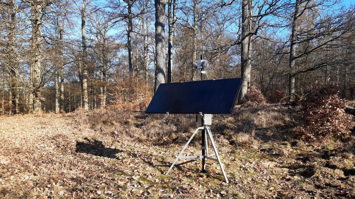 Hightech trifft Natur: Künstliche Intelligenz hört Hessens Vögel