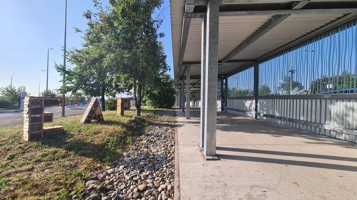 L’EuroAirport certifié pour sa contribution à la protection de la biodiversité