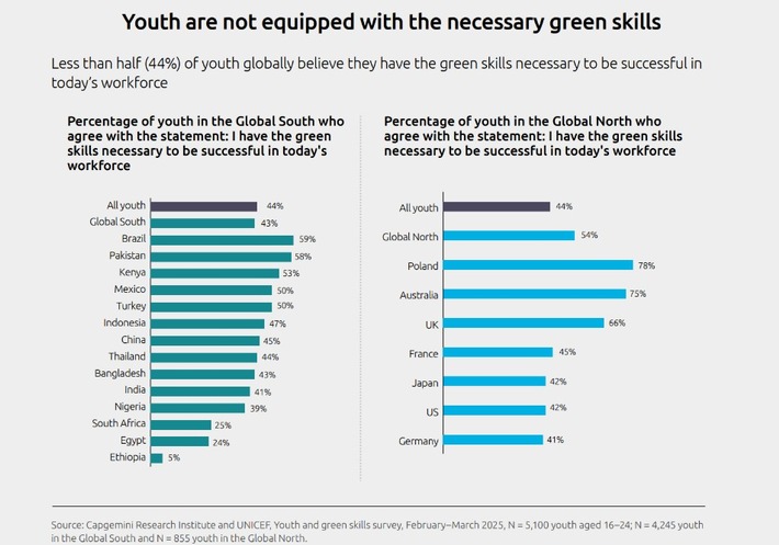 Yout are not equipped with green skills_Infografik.jpg