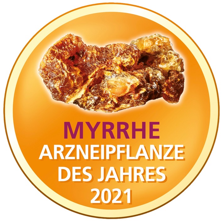 Neue Studie an der Universität Regensburg: Myrrhe lindert Entzündungen im Darm