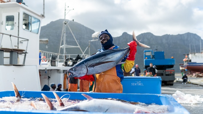 ALDI SÜD Gruppe integriert als erster Einzelhändler weltweit das neue MSC Fischereiverbesserungsprogramm in seine Einkaufsrichtlinie