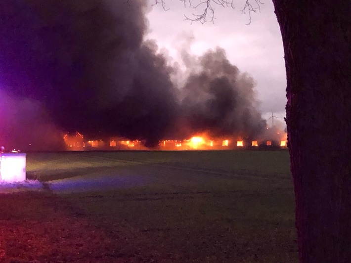 POL-MI: Brand in einem landwirtschaftlichen Betrieb - 750 tragende Sauen können nicht mehr gerettet werden