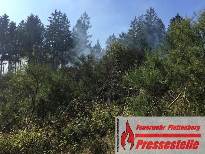 FW-PL: 2500 Quadratmeter Waldbrand. Leiche bei Löscharbeiten entdeckt. Paralleleinsatz durch Brandmeldeanlage.