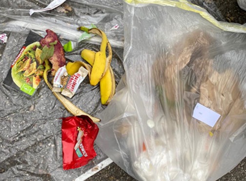 Studie Mülltrennung: Aufklärung erhöht die Bereitschaft