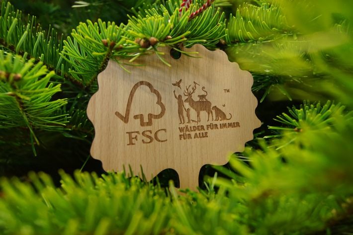 Ein Weihnachtsbaum mit Haltung - FSC Deutschland schafft Klarheit für Verantwortung unterm Christbaum
