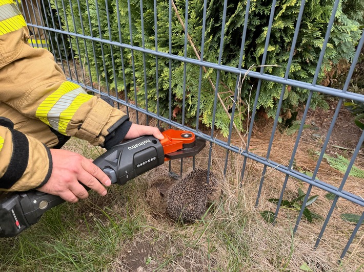 FW Alpen: Igel aus misslicher Lage befreit