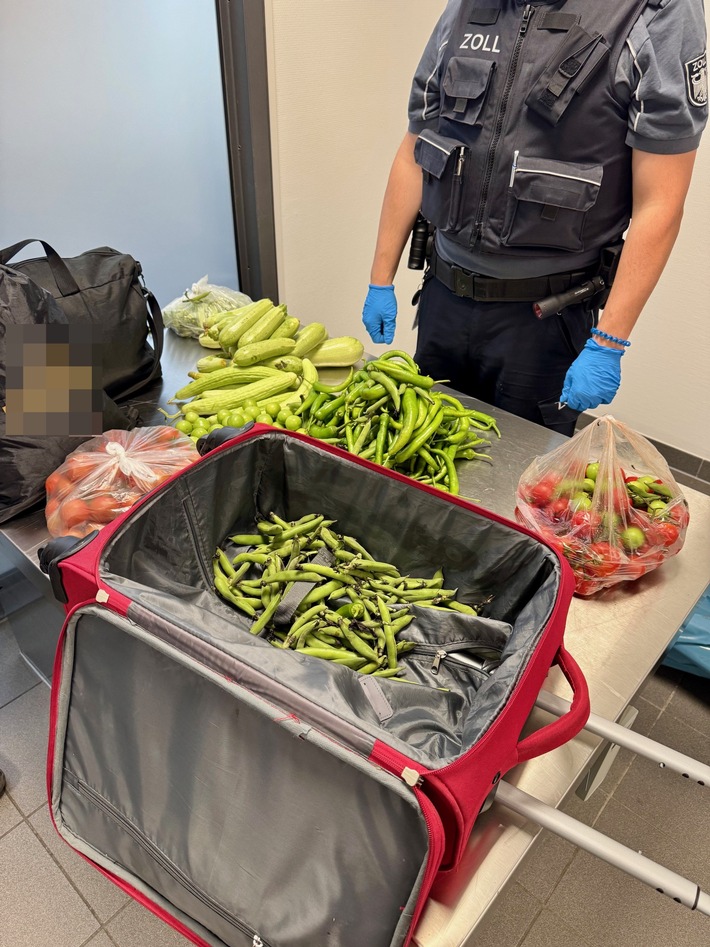 HZA-SB: Weder das Gemüse noch der Plan waren ausgereift; ZOLL findet 19 Kilogramm verbotene Lebensmittel und unversteuerte Zigaretten