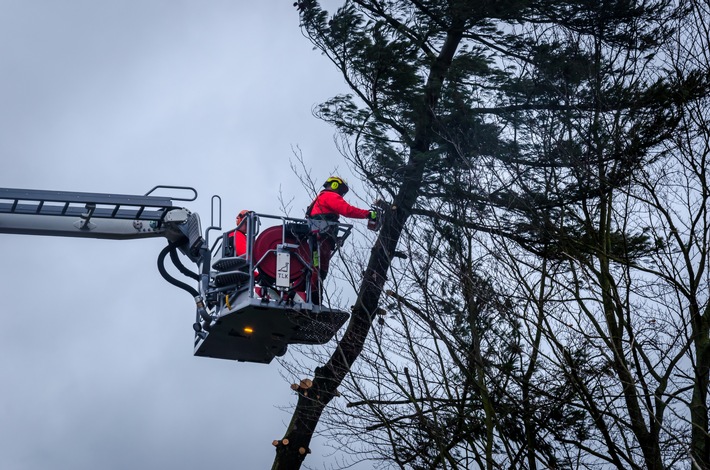 FW Flotwedel: Baum droht auf Haus zu stürzen / Ortsfeuerwehren Bockelskamp und Wathlingen beseitigen Gefahrenstelle