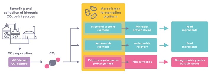 EU-Forschungsprojekt UNICO₂RN nutzt biogenes CO₂ zur Herstellung von Proteinen und Biokunststoffen