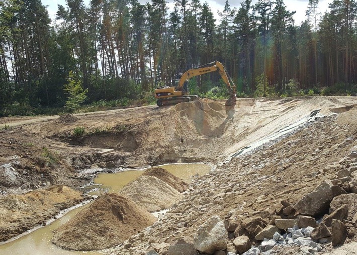 DBU-Naturerbefläche Daubaner Wald: Gemeinschaftsprojekt "Redynamisierung der Spree" abgeschlossen