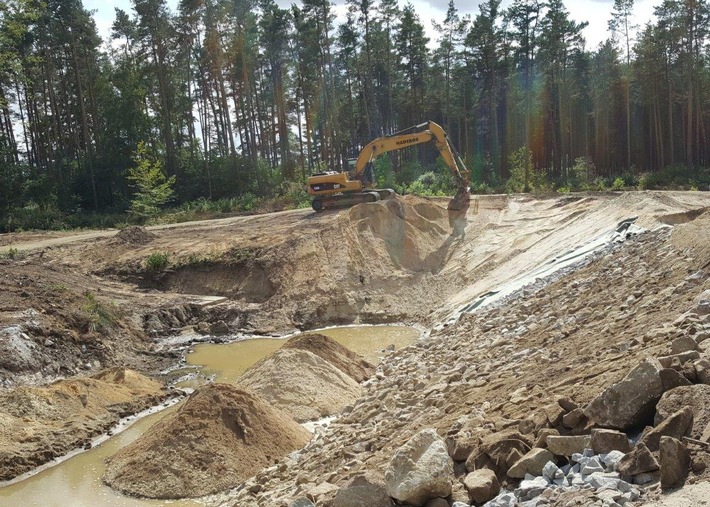 DBU-Naturerbefläche Daubaner Wald: Gemeinschaftsprojekt "Redynamisierung der Spree" abgeschlossen