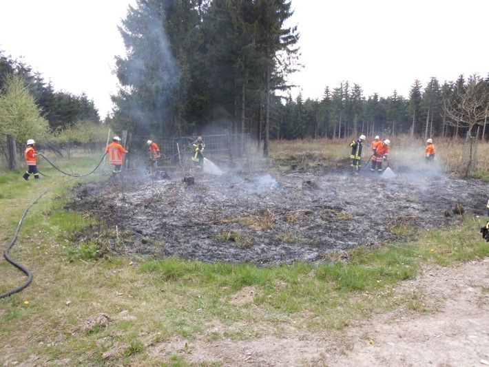 POL-HOL: Waldgebiet in der Gemarkung Silberborn: Weggeworfene Zigarettenkippe verursacht Flächenbrand