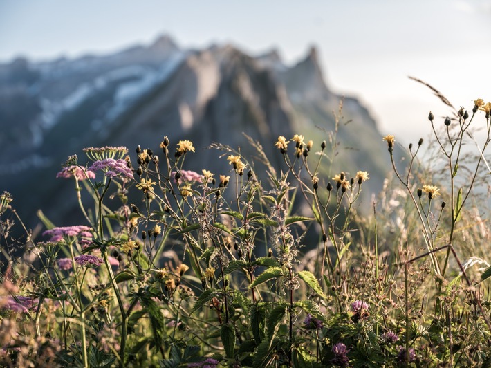 JIVITA im Resort Hof Weissbad