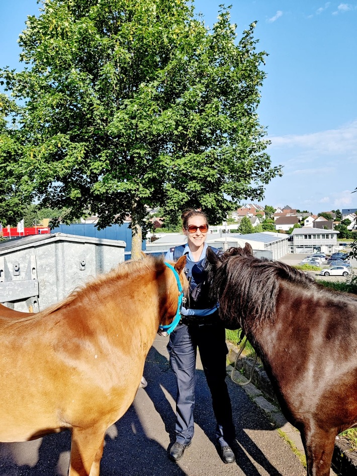 POL-PDPS: Zweibrücken - Pferde grasen auf Tankstellengelände