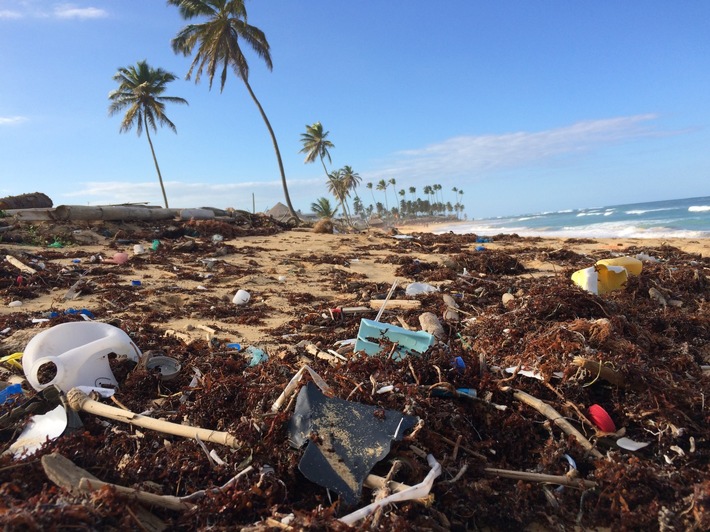 PM-Hereon - Hereon und internationale Partner helfen mit, Mythen von gesicherten Erkenntnissen zu „Plastik in der Umwelt“ zu unterscheiden