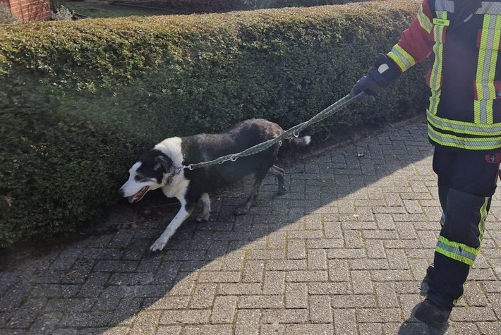 POL-LER: Weitere Pressemitteilung der Polizeiinspektion Leer/ Emden für den 06.03.2026