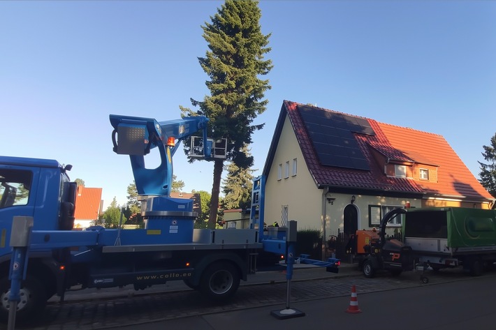 Arbeitssicherheit hat bei der Baumabtragung höchste Priorität