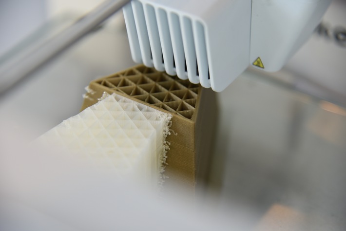 Werbewoche-Award im 3D-Druck: Egon in der dritten Dimension