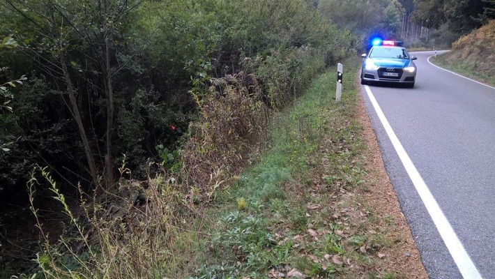 POL-PDPS: Verkehrsunfall unter Alkoholeinfluss / Hoher Sachschaden