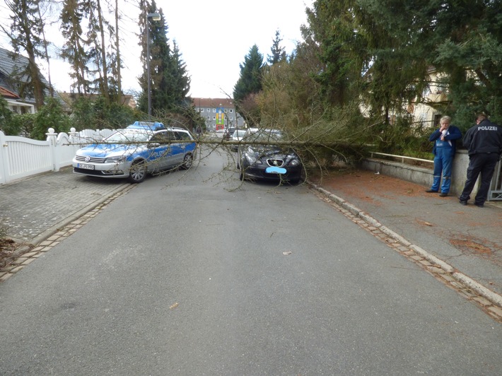 POL-CE: Celle - Baum stürzt bei Sturm auf parkendes Auto