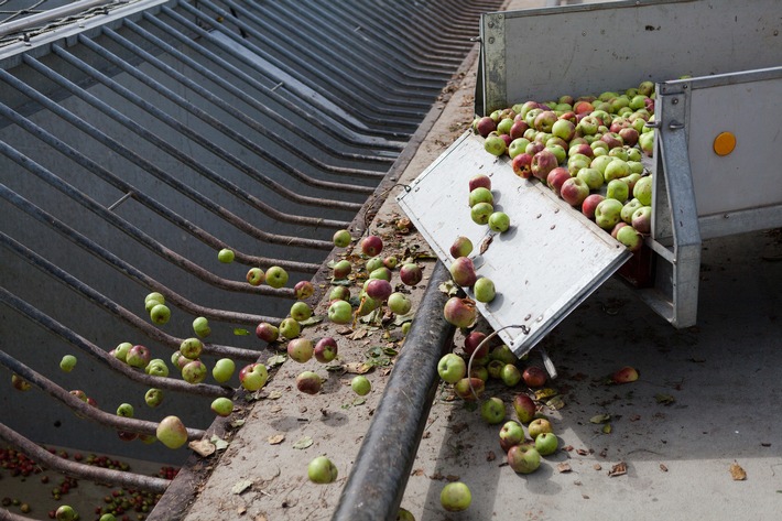 VdF veröffentlicht Endergebnis: Niedrigste Apfelsaftmenge seit 1991 gekeltert