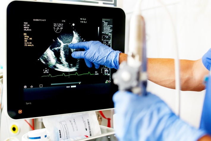 Seminar on Echocardiography: TEE Masterclass – live stream from the operating theatres of Leipzig Heart Center
