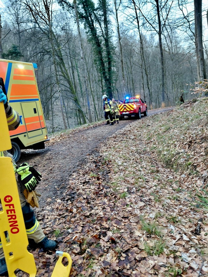 FW Weinheim: Schwerer Reitunfall im Wald - Einsatzkräfte retten Patientin unter schwierigen Bedingungen